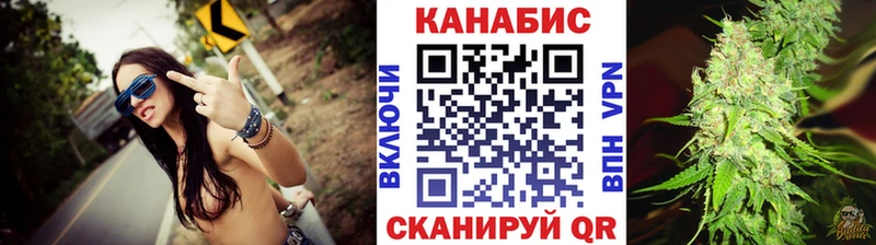 Каннабис планчик Шатура